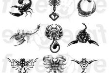 gölgeli akrep dövme modelleri- scorpion tattoo