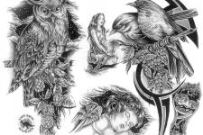 baykuş dövme modelleri-owl tattoo