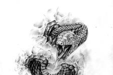 çatlamış duvar dövme-yılan dövme modelleri-snake tattoo