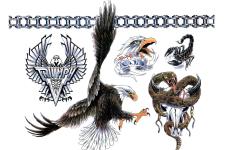 eagle tattoo 