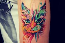küçük renkli kedi dövmeleri